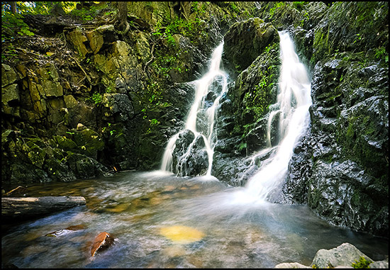 Upper Section, Fitzgerald Falls ejdTrail3 550